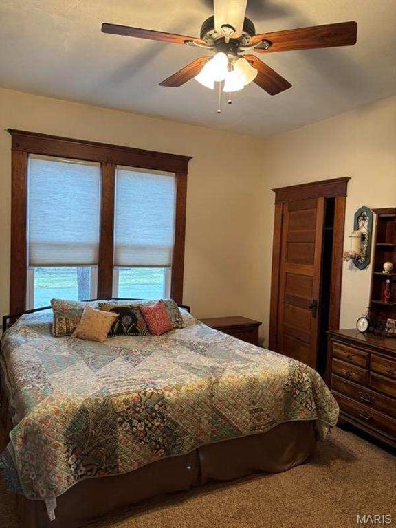 172 W Saint Louis St, Hoyleton, IL 62803 - photo 30