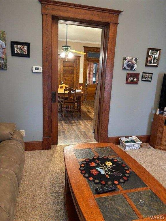 172 W Saint Louis St, Hoyleton, IL 62803 - photo 34