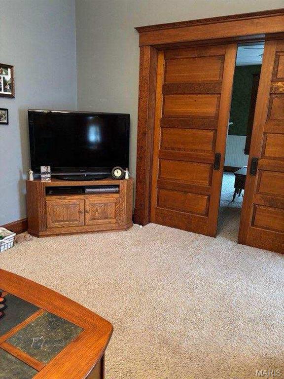 172 W Saint Louis St, Hoyleton, IL 62803 - photo 35
