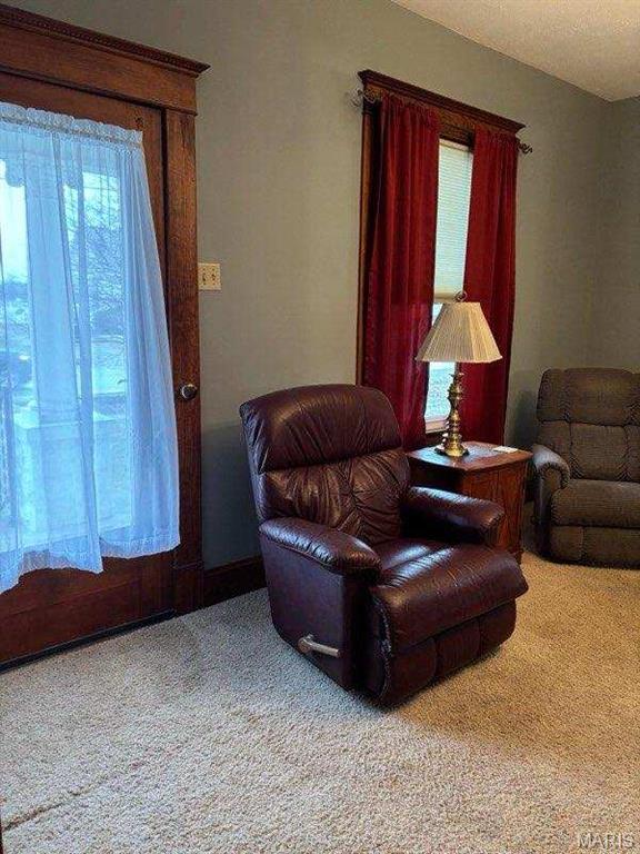 172 W Saint Louis St, Hoyleton, IL 62803 - photo 36