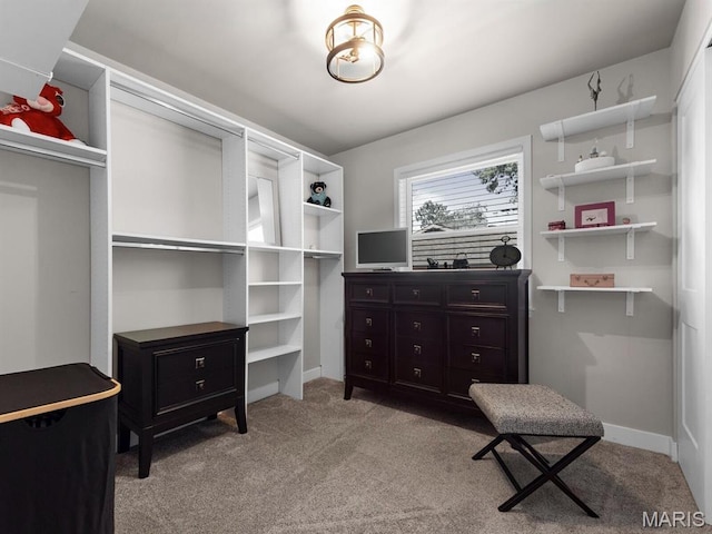 1201 Cheverly Ct, Saint Louis, MO 63146 - spacious closet featuring carpet flooring