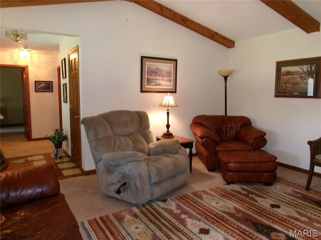 112 Indian Prairie Ln, Union, MO 63084 - photo 7