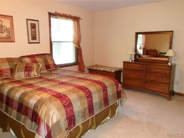 112 Indian Prairie Ln, Union, MO 63084 - photo 30