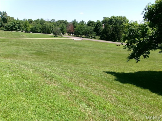112 Indian Prairie Ln, Union, MO 63084 - photo 59