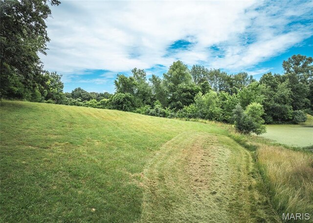 3079 Terpening Rd, Alton, IL 62002 - photo 26