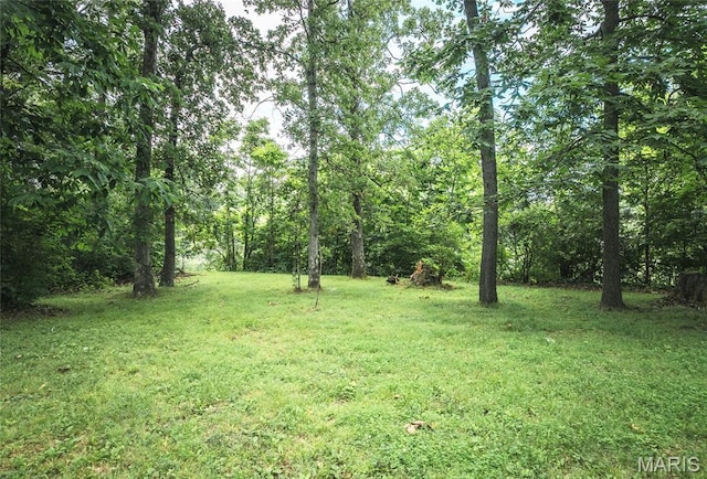 3079 Terpening Rd, Alton, IL 62002 - photo 29