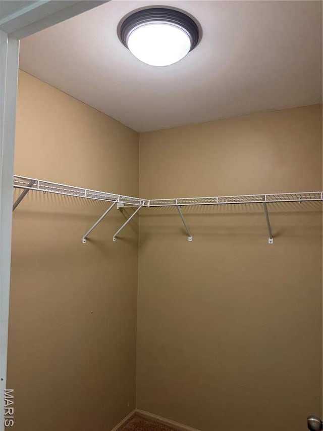3408 Charleston Place Ct, Manchester, MO 63088 - photo 23