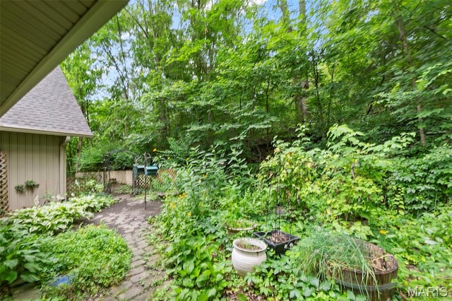 1938 State Highway Oo, Whitewater, MO 63785 - view of yard