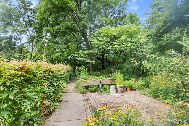 1938 State Highway Oo, Whitewater, MO 63785 - view of yard