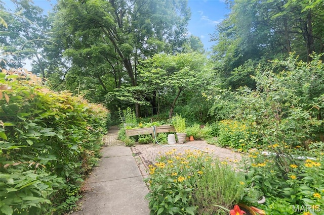 1938 State Highway Oo, Whitewater, MO 63785 - view of yard with a garden