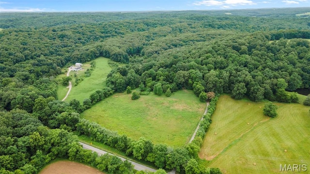 1938 State Highway Oo, Whitewater, MO 63785 - aerial view of a forest