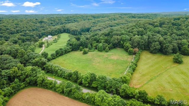 1938 State Highway Oo, Whitewater, MO 63785 - drone / aerial view of a forest