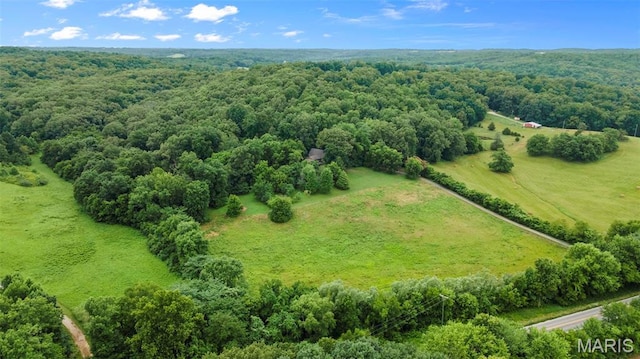 1938 State Highway Oo, Whitewater, MO 63785 - aerial view of a heavily wooded area