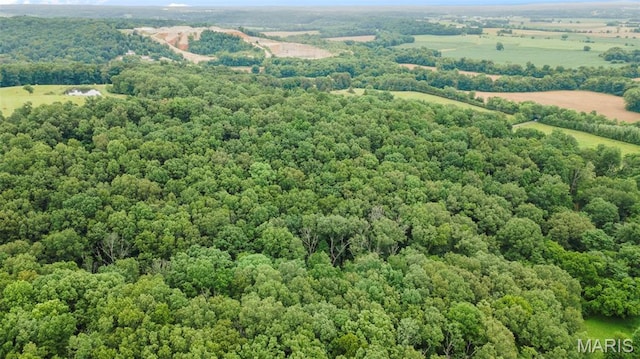 1938 State Highway Oo, Whitewater, MO 63785 - bird's eye view of a heavily wooded area