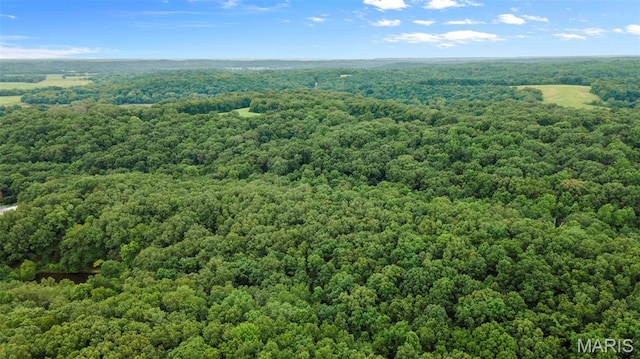1938 State Highway Oo, Whitewater, MO 63785 - drone / aerial view of a forest