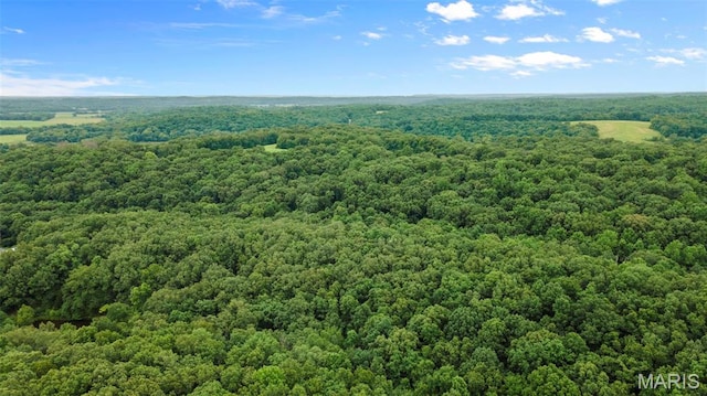 1938 State Highway Oo, Whitewater, MO 63785 - bird's eye view of a heavily wooded area