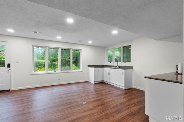 1938 State Highway Oo, Whitewater, MO 63785 - kitchen featuring dark countertops, white cabinets, recessed lighting, dark wood-style flooring, and a textured ceiling