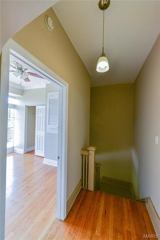 5783 Mcpherson Ave, Saint Louis, MO 63112 - photo 25