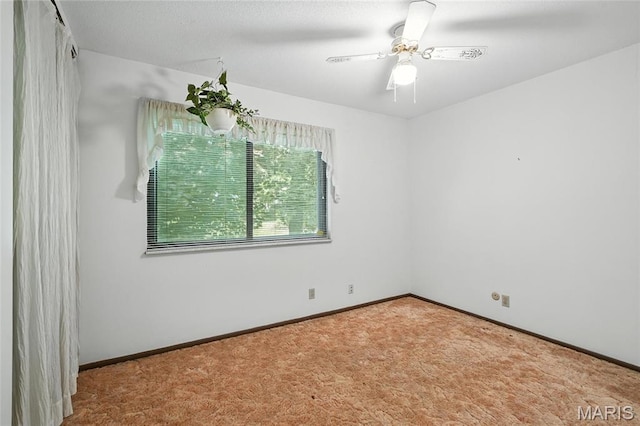 11177 Whispering Oaks Dr, Saint Louis, MO 63136 - photo 10