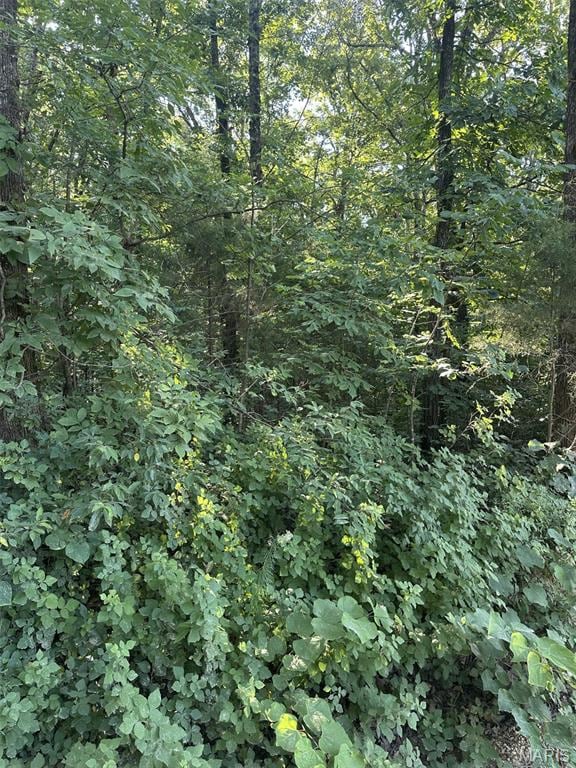 0 Ripley 21n-4, Doniphan, MO 63935