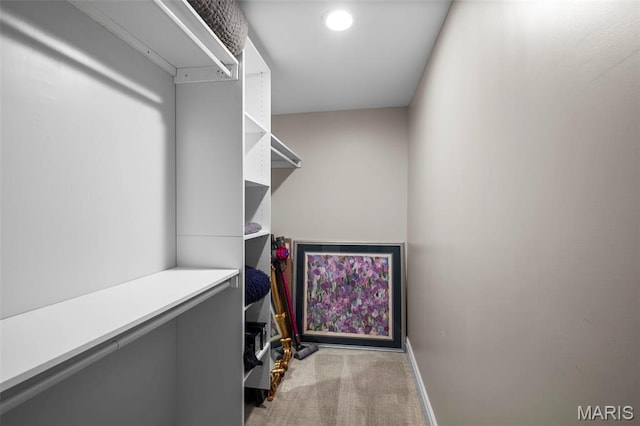 17108 Windsor Crest Blvd, Wildwood, MO 63038 - spacious closet with carpet