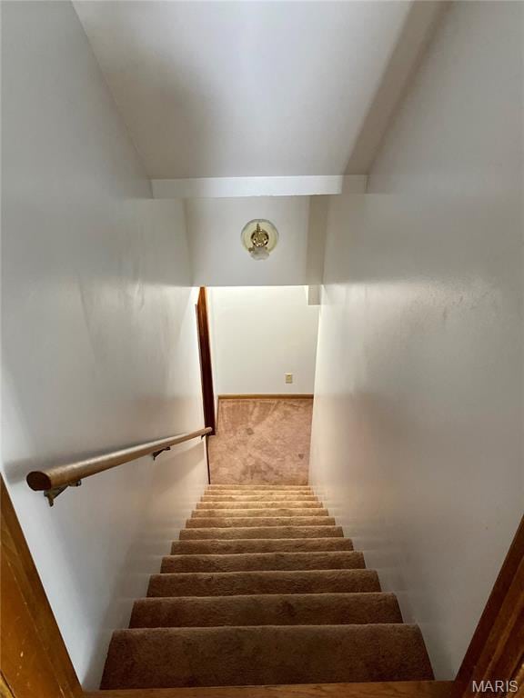 12020 Jacobson Ct, Saint Louis, MO 63044 - stairs with carpet floors