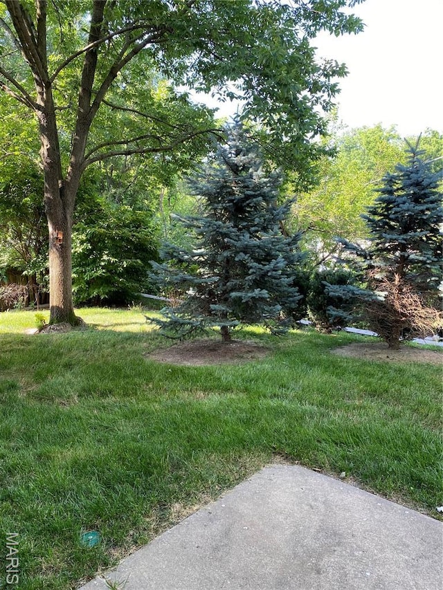 12020 Jacobson Ct, Saint Louis, MO 63044 - view of yard