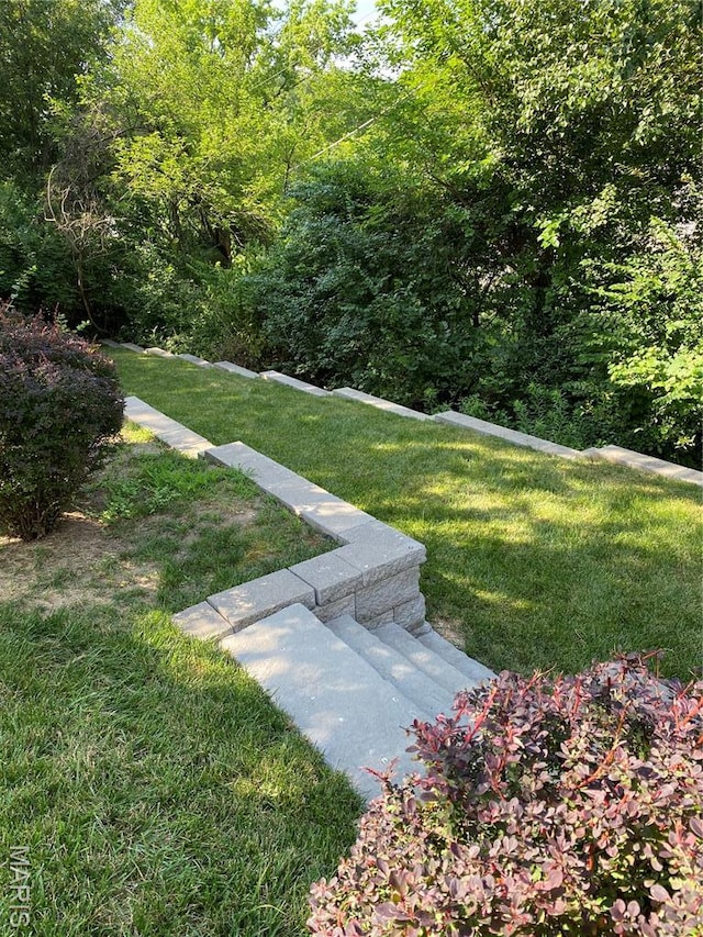 12020 Jacobson Ct, Saint Louis, MO 63044 - view of grassy yard