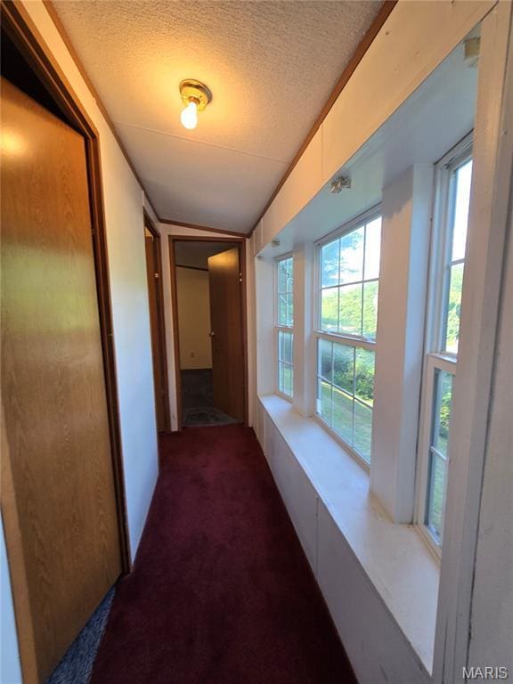 3167 Quiet Forest Dr, Imperial, MO 63052 - photo 16