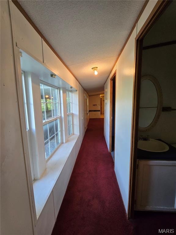 3167 Quiet Forest Dr, Imperial, MO 63052 - photo 20
