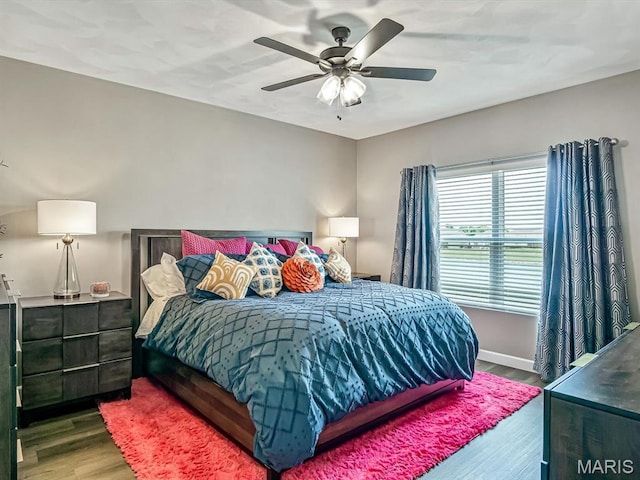 714 Applewood Creek Dr, Fairview Heights, IL 62208 - bedroom featuring wood finished floors and a ceiling fan