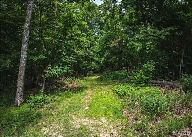 4670 Trails End Trl, House Springs, MO 63051 - photo 25