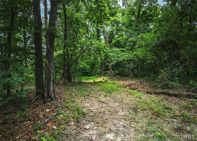 4670 Trails End Trl, House Springs, MO 63051 - photo 26