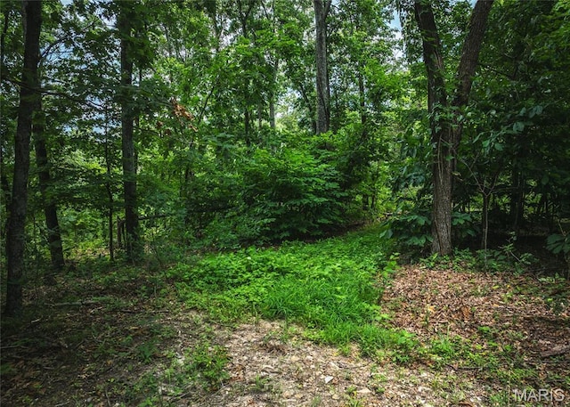 4670 Trails End Trl, House Springs, MO 63051 - photo 27