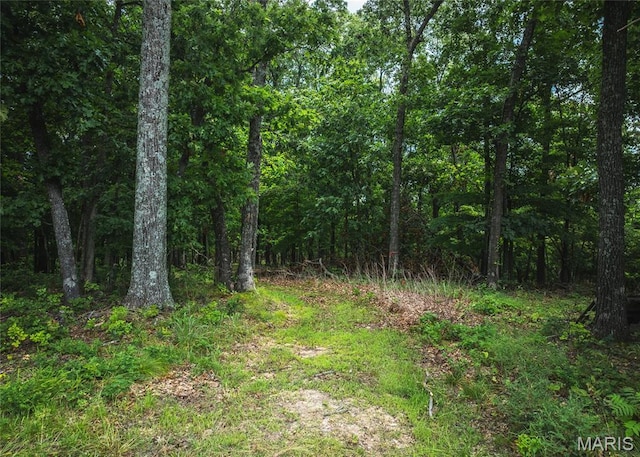4670 Trails End Trl, House Springs, MO 63051 - photo 28
