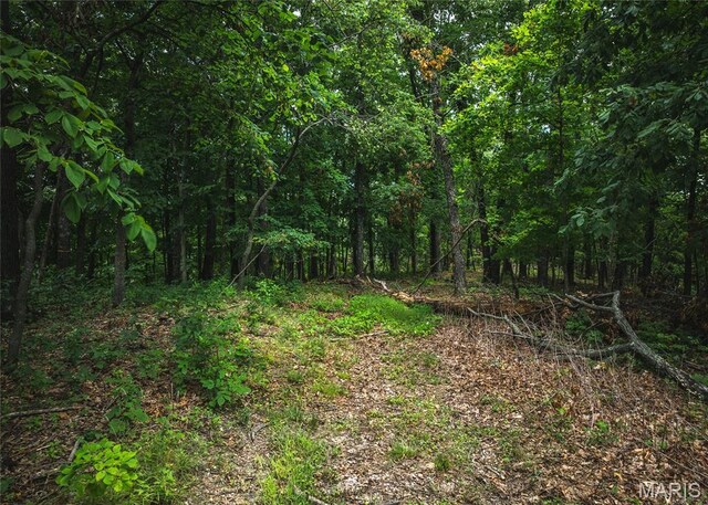 4670 Trails End Trl, House Springs, MO 63051 - photo 29