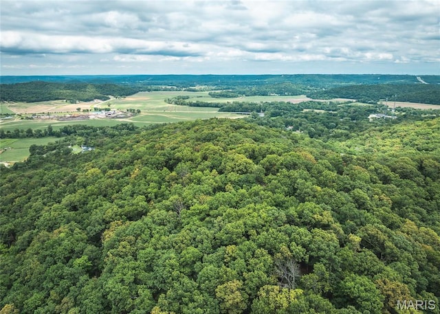 4670 Trails End Trl, House Springs, MO 63051 - photo 31