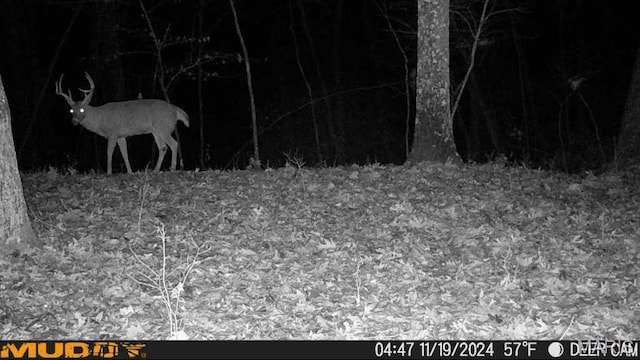4670 Trails End Trl, House Springs, MO 63051 - photo 9