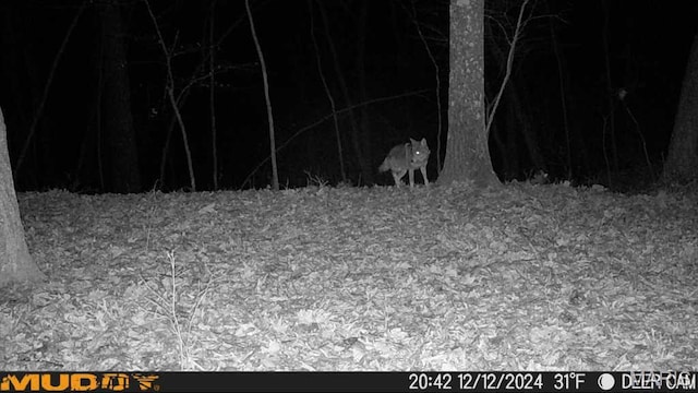 4670 Trails End Trl, House Springs, MO 63051 - photo 12