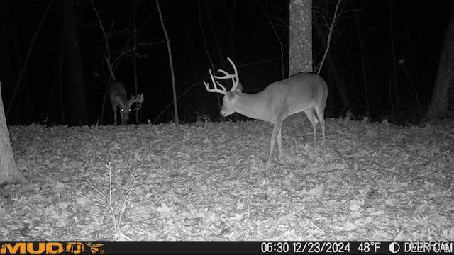 4670 Trails End Trl, House Springs, MO 63051 - photo 13