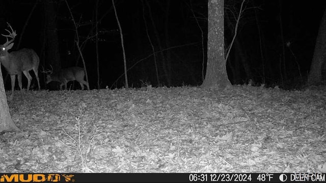 4670 Trails End Trl, House Springs, MO 63051 - photo 14