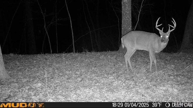 4670 Trails End Trl, House Springs, MO 63051 - photo 15