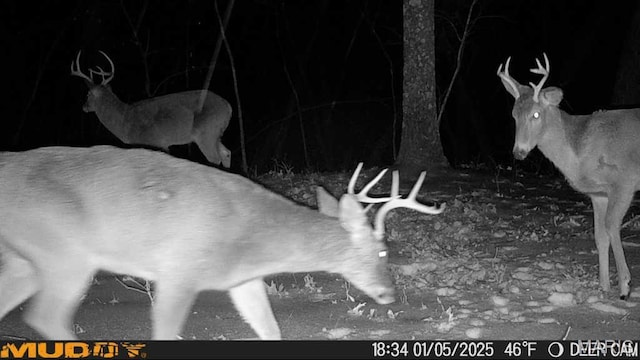 4670 Trails End Trl, House Springs, MO 63051 - photo 16