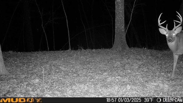 4670 Trails End Trl, House Springs, MO 63051 - photo 18