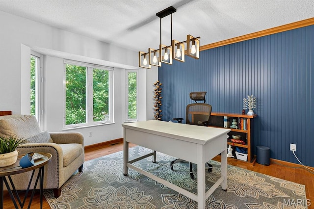 218 W Stonybrook Dr, Ofallon, IL 62269 - office featuring a textured ceiling and wood finished floors
