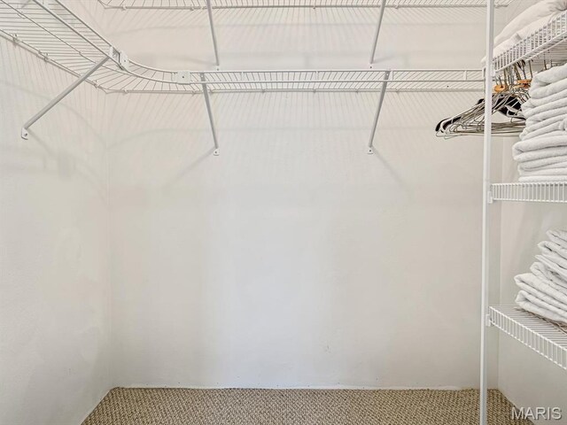 1108 Mill St, Maeystown, IL 62256 - photo 15