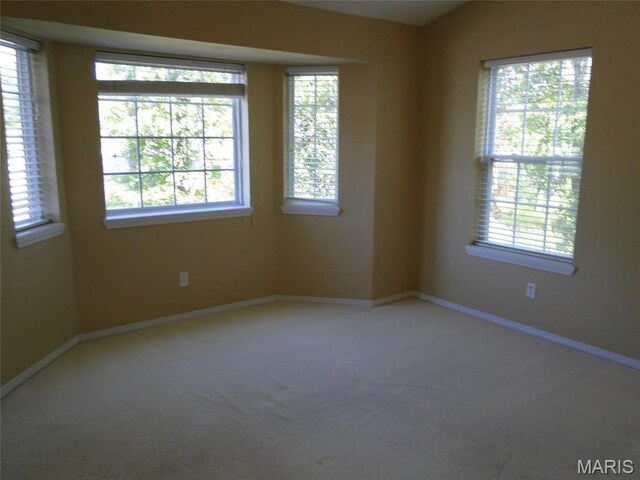 21547 Honeydew Ln, Saint Robert, MO 65584 - photo 15