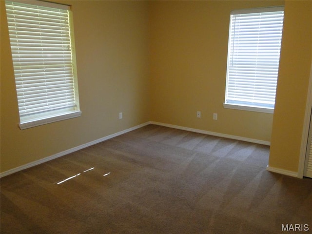 21547 Honeydew Ln, Saint Robert, MO 65584 - photo 22