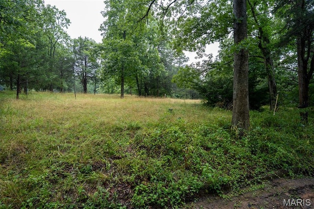 3861 Greenhouse Rd, De Soto, MO 63020 - photo 2