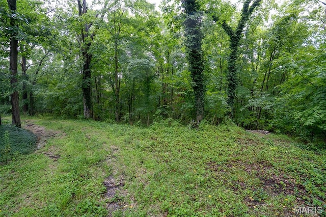 3861 Greenhouse Rd, De Soto, MO 63020 - photo 3